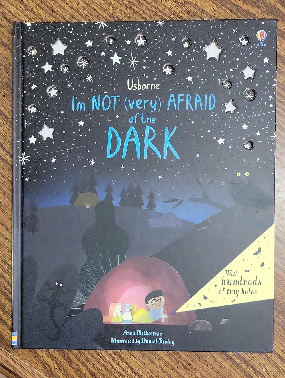 I'm Not (Very) Afraid Of The Dark Book